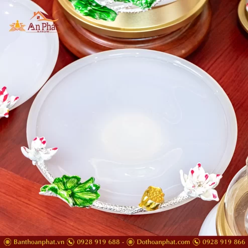 ban than tai ong dia do tho cao cap tt893 16