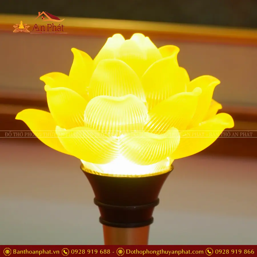 den tho dien luu ly 1 bong cao cap dt1311 6
