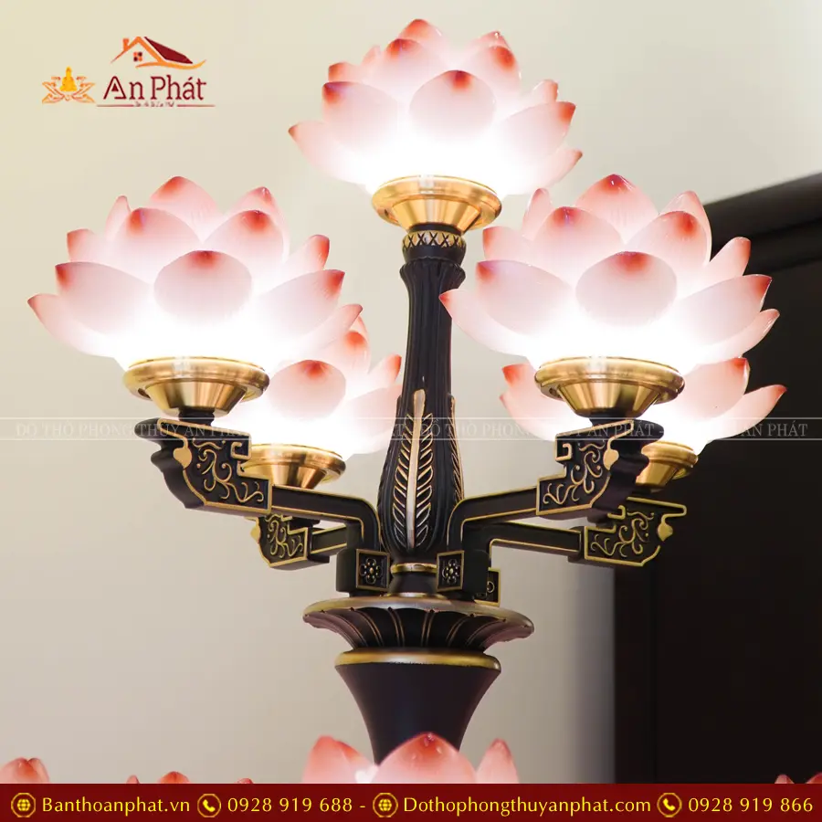 den tho dien luu ly 25 bong dai loan dt1313 5