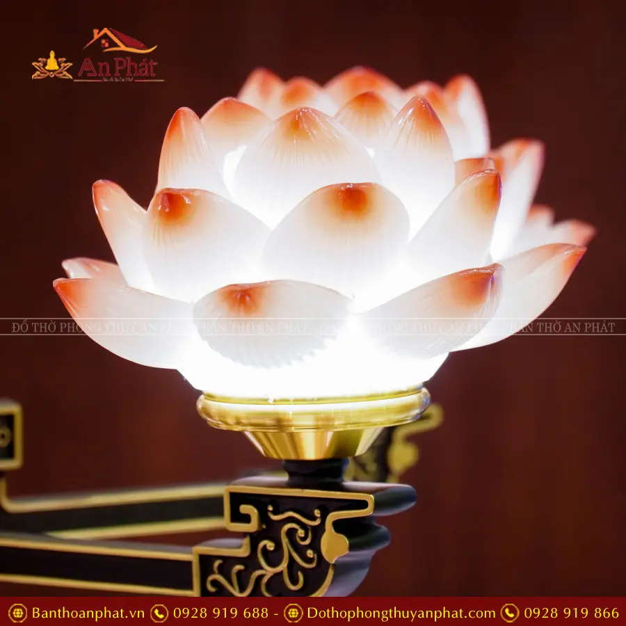 den tho dien luu ly 25 bong dai loan dt1313 6