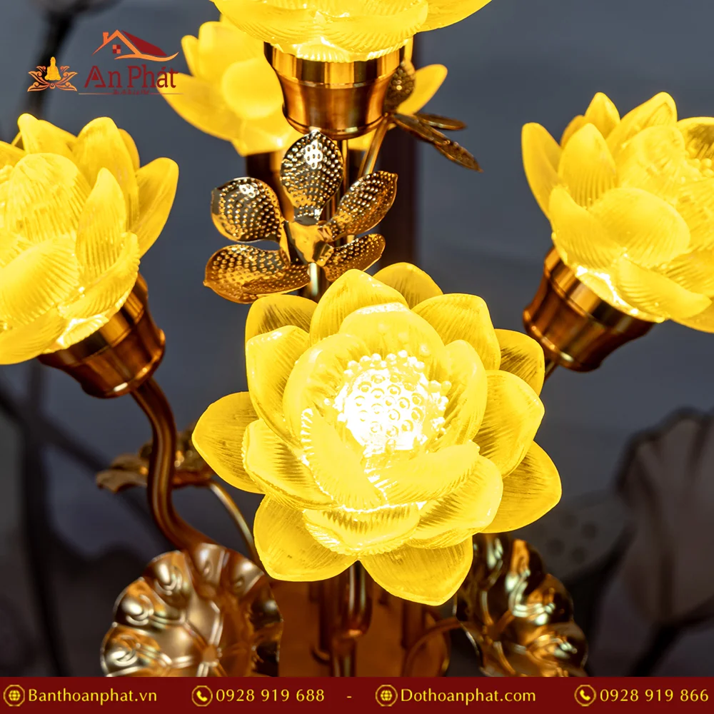 den tho dien luu ly hoa sen dt1340 5