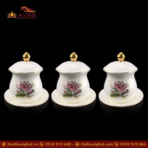 choe tho su tam bao trang nhap khau dt49200002