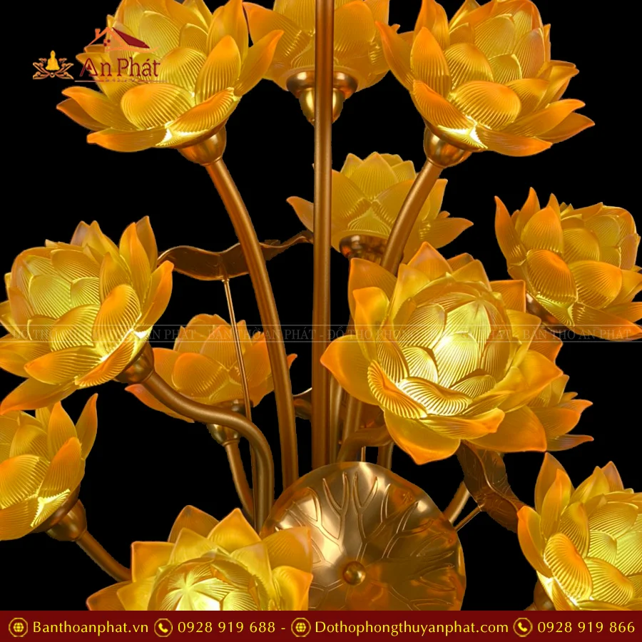 den tho dien hoa sen thinh the bong to dtd1397 8