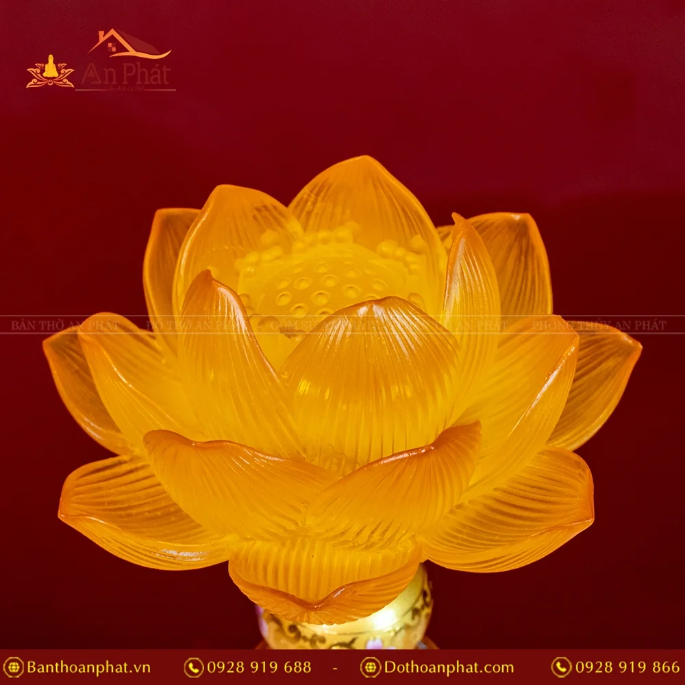 den tho dien luu ly hoa sen 1 bong dtd1368 6