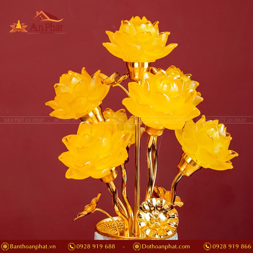 den tho dien luu ly hoa sen nhieu bong dtd1373 6