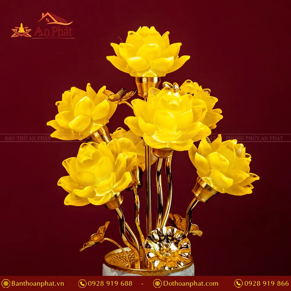 den tho dien luu ly hoa sen nhieu bong dtd1373 7