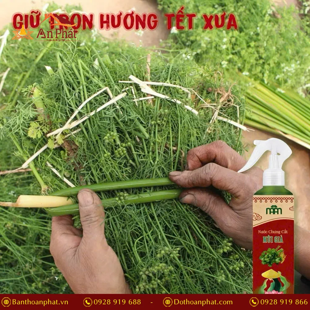 Nước lau bàn thờ Mùi Già Hút Tài Lộc PK9532 9 nuoc lau ban tho mui gia hut tai loc pk9532 4